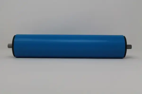 tragrolle aus kunststoff mit federachse rostfrei 63mmx30mm 1.webp